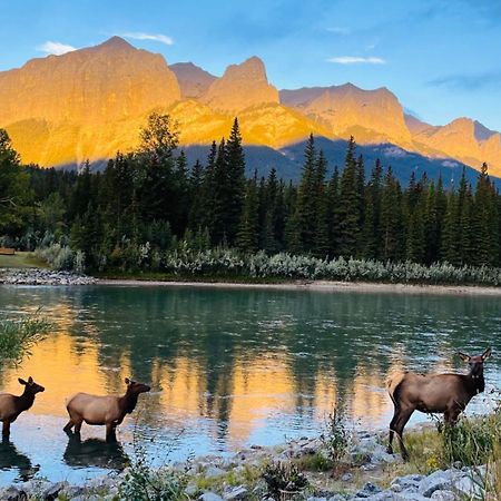 Unit #302 Mountain View 2 Beds In Dt Apartment Canmore Luaran gambar