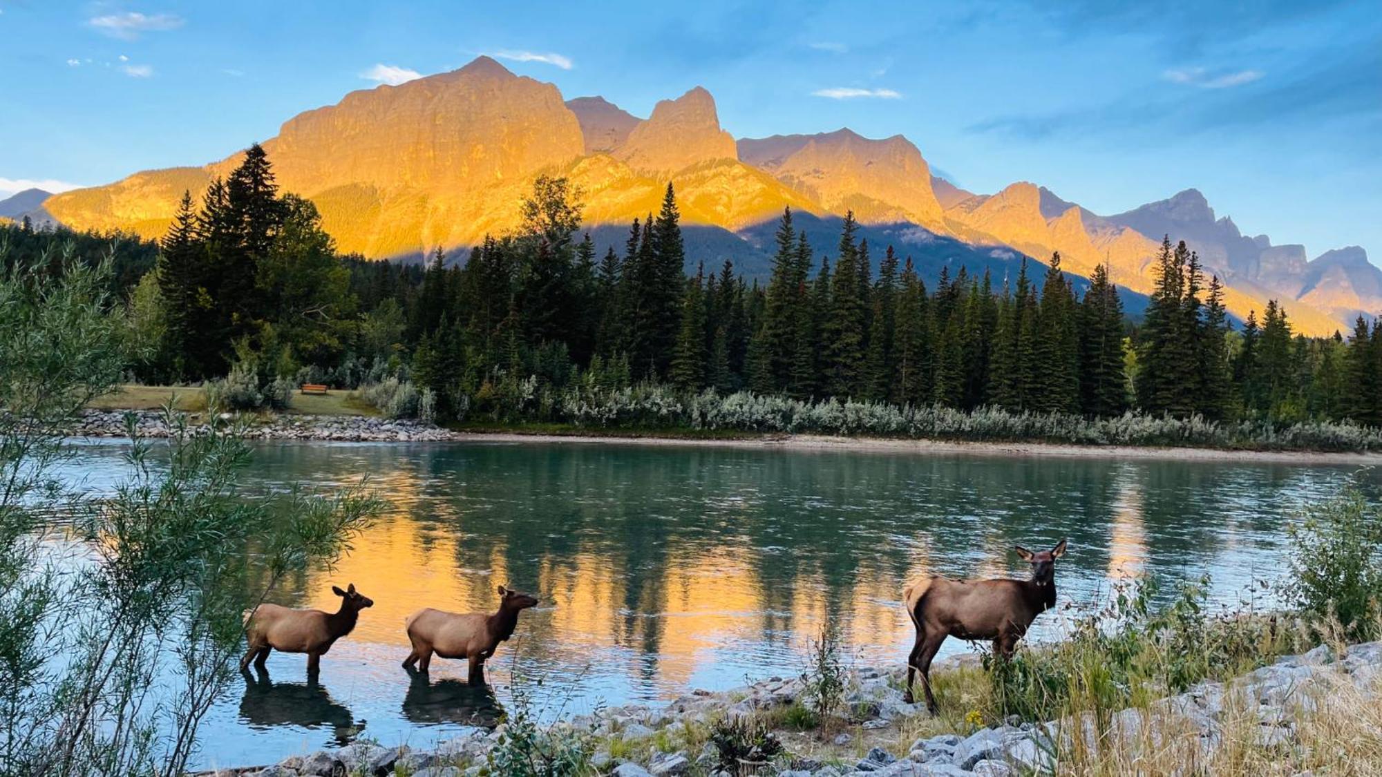 Unit #302 Mountain View 2 Beds In Dt Apartment Canmore Luaran gambar